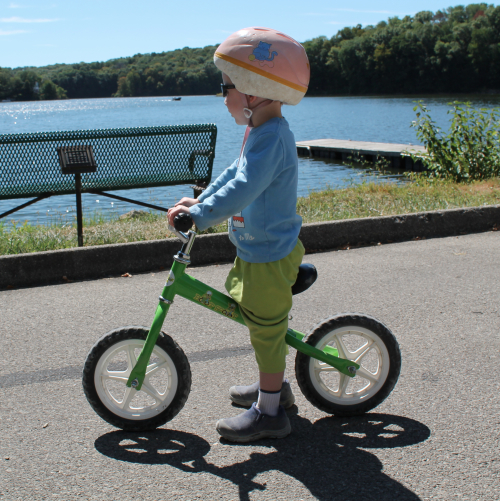 Boot Scoot Zoomer standing